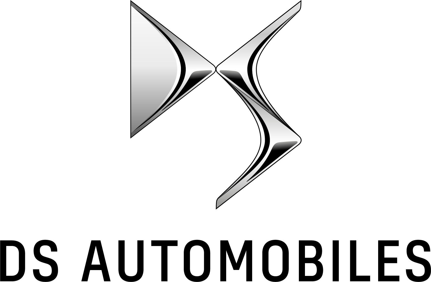 Logo DS